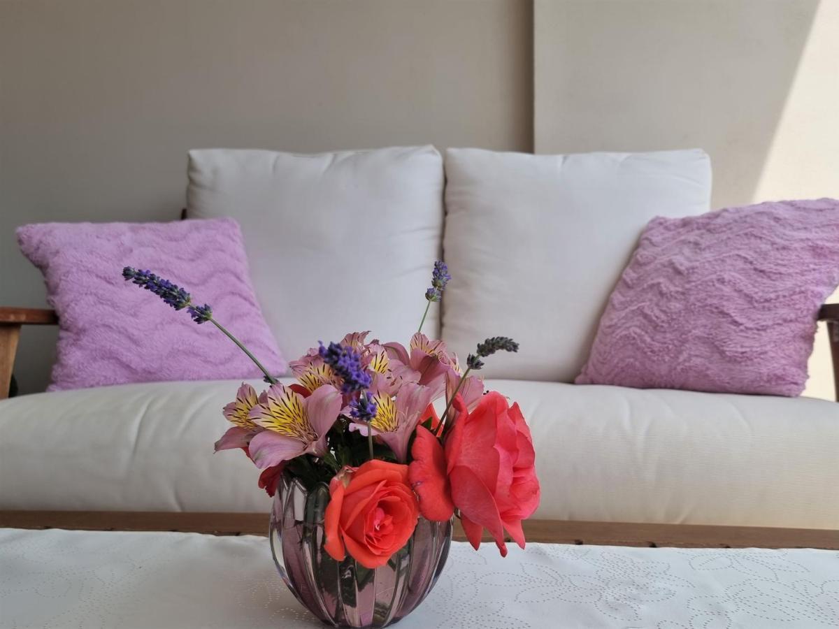 روفينج Apartments Ragusa المظهر الخارجي الصورة